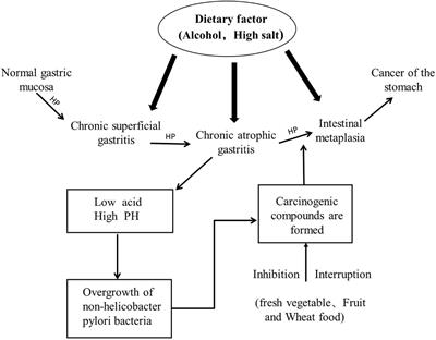 Effect of Dietary Modification on Gastric Mucosa, Gastrointestinal Symptoms and Nutritional Status of Patients With Early Gastric Cancer After Endoscopic Submucosal Dissection Surgery: A Retrospective Cohort Study